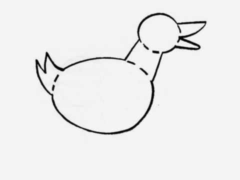 480x360 Basic Drawing - Basic Drawing