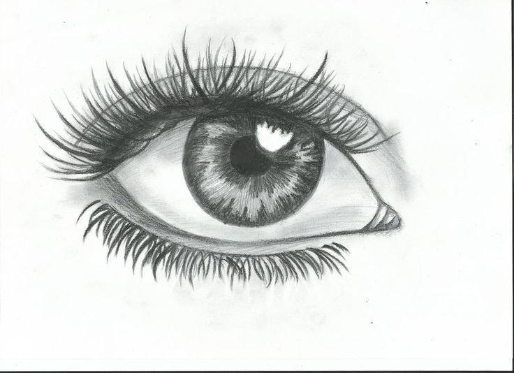 736x534 Simple Eye Drawing Step - Basic Eye Drawing