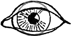 253x128 How To Draw Basic Human Eyes With Simple Drawing Lesson - Basic Eye Drawing