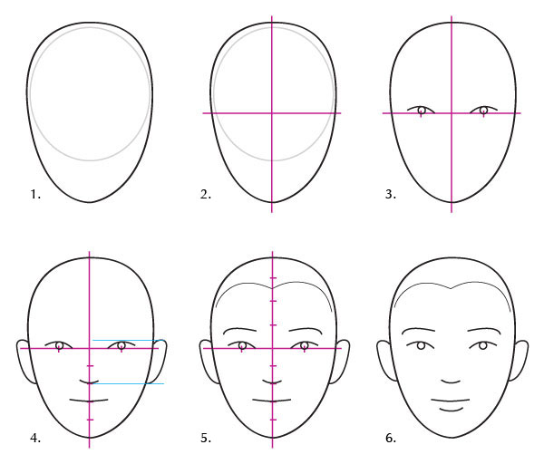 600x512 Human Anatomy Fundamentals Basics Of The Face - Basic Face Drawing