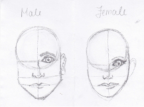 505x377 learning how to draw basic face paige mitchell's blog - Basic Face Drawing