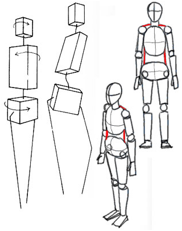 182x231 art standing full figure drawings due tuesday, nov - Basic Figure Drawing