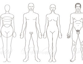 270x210 Set Of Basic Figure Art With Male And Female Drawings Freelancer - Basic Figure Drawing