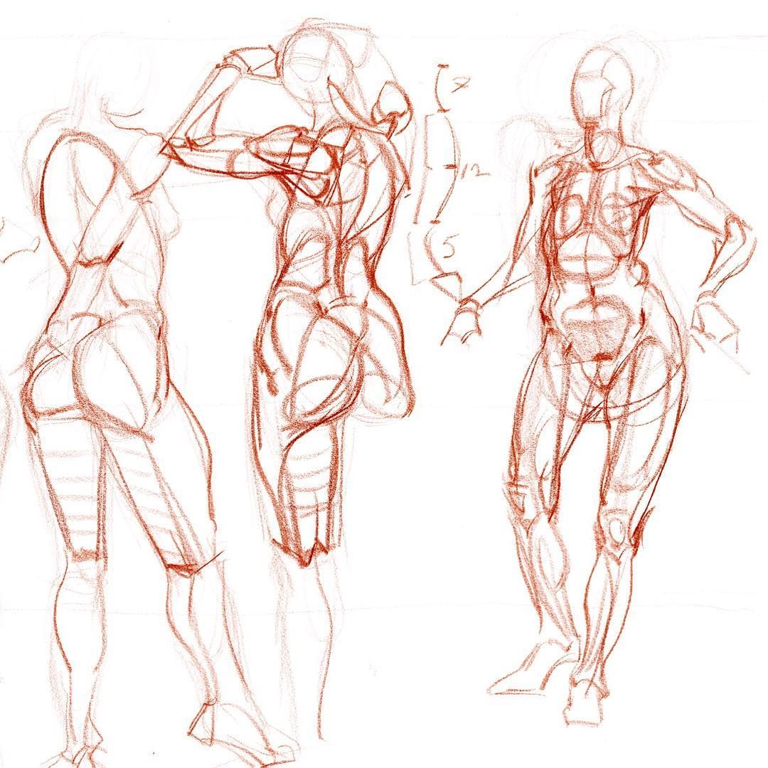 1080x1080 some basic figure construction demos in a students drawing pad - Basic Figure Drawing