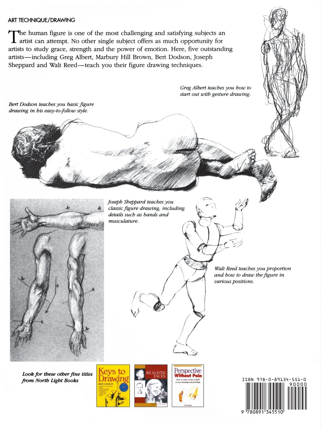 1020x1360 Basic Figure Drawing Techniques - Basic Figure Drawing