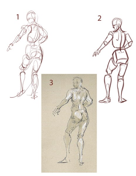464x600 Basic Figure Drawing Tutorial At Getdrawings Free For Personal - Basic Figure Drawing