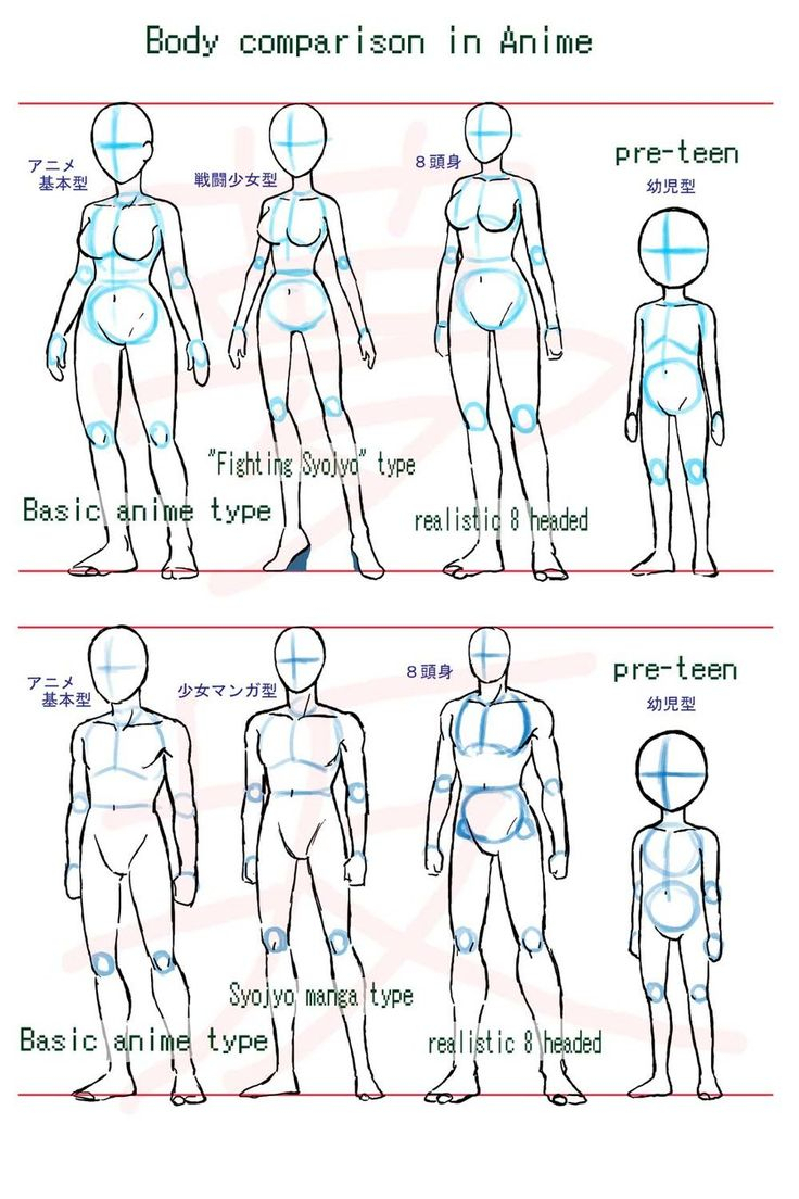 736x1104 Huge Collection Of 'basic Figure Drawing Tutorial' Download More - Basic Figure Drawing Tutorial