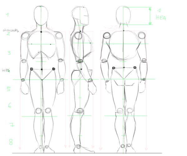 600x500 Draw People - Basic Figure Drawing Tutorial