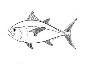 300x225 simple fish outline fish template simple crafts t fish - Basic Fish Drawing