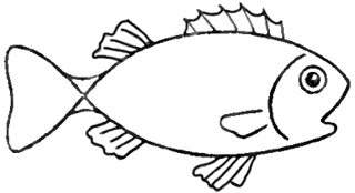 320x174 Step How To Draw Cartoon Fish Step - Basic Fish Drawing