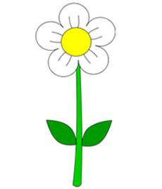 230x269 How To Draw Flowers Drawing Tutorials Drawing How To Draw - Basic Flower Drawing