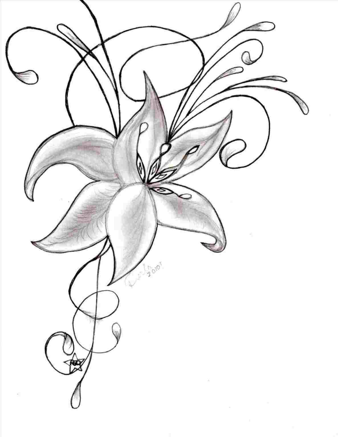 1186x1534 Realist Flower Drawing - Basic Flower Drawing