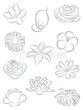 285x380 set of flowers vector illustration in miss sara - Basic Flower Drawing