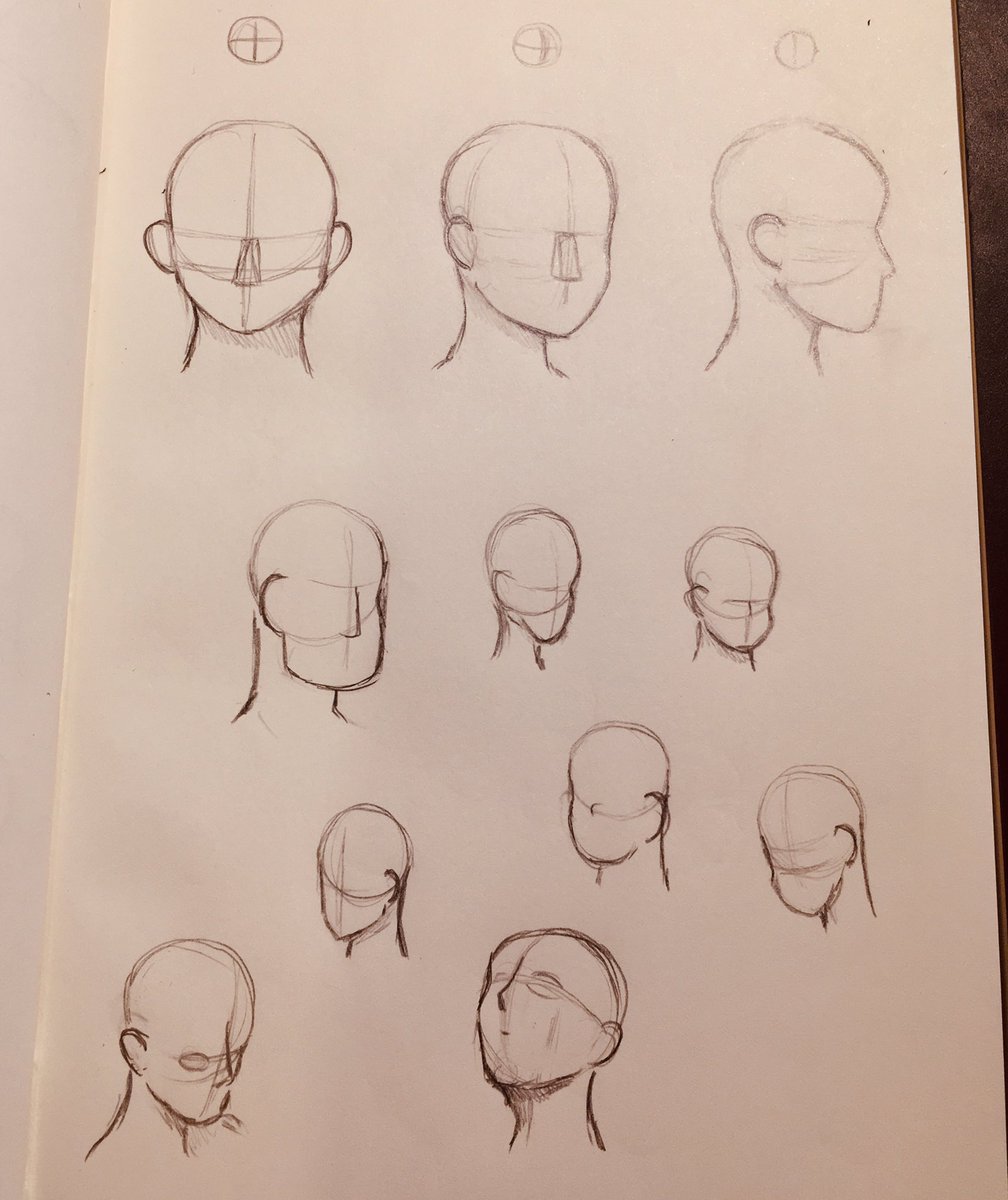 1008x1200 Gaziter On Twitter - Basic Head Drawing