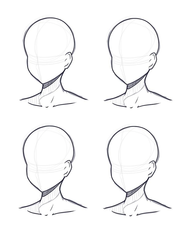 736x920 Head Design Base - Basic Head Drawing