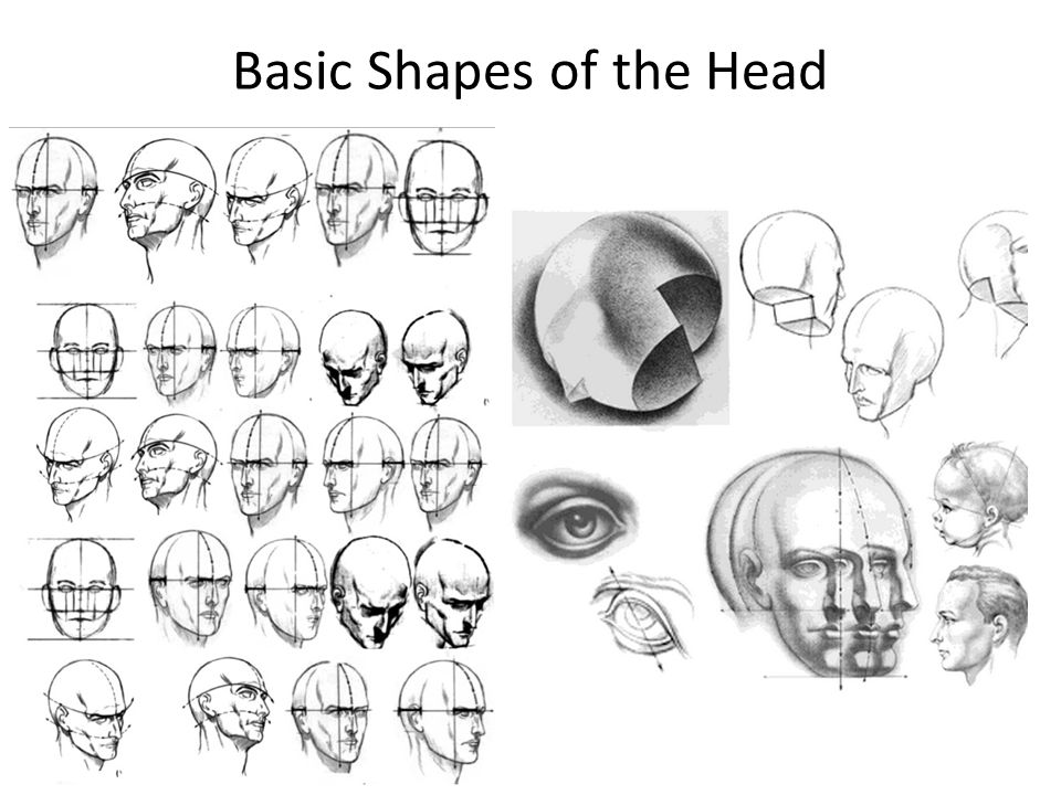 Basic Head Drawing at Explore collection of Basic