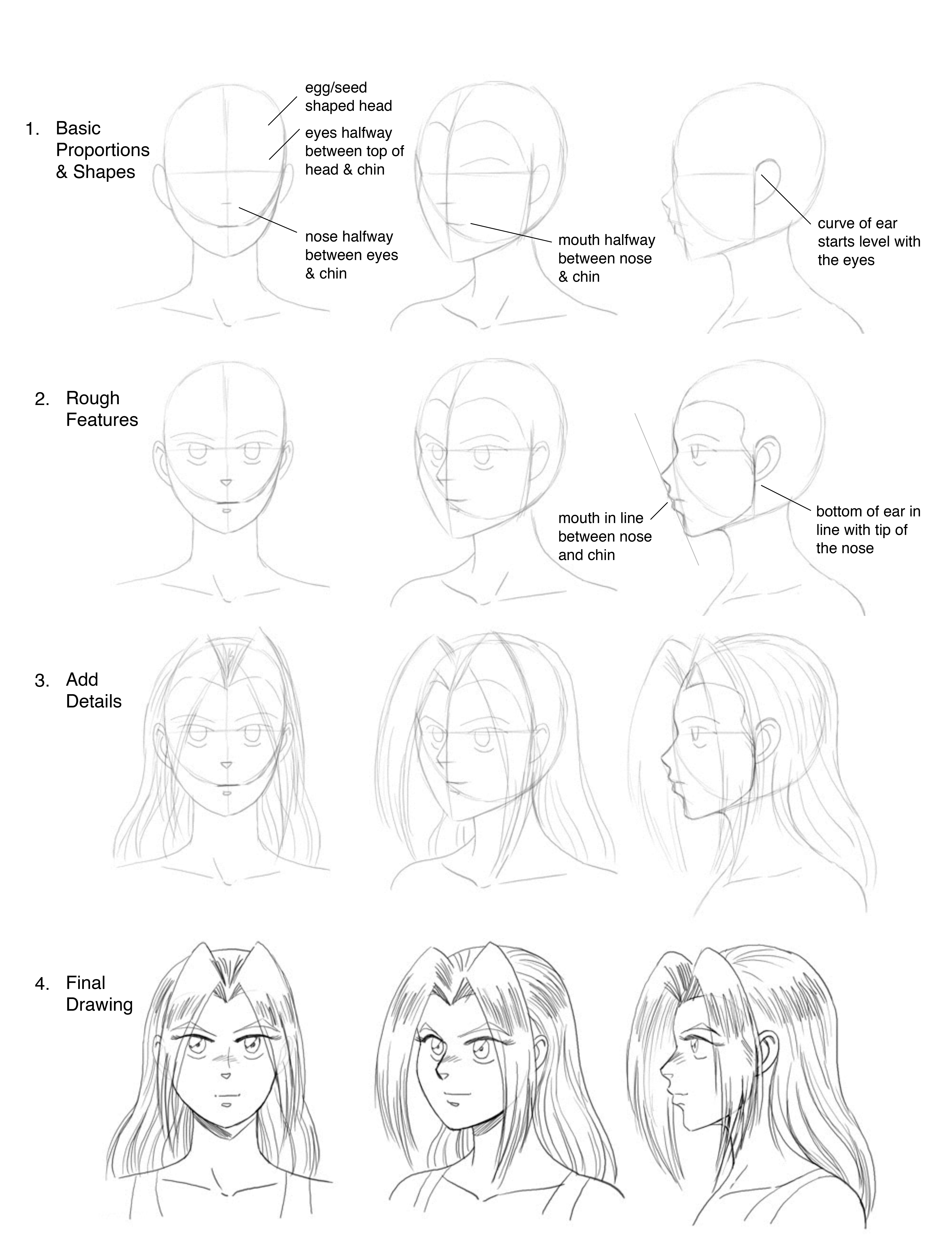 Basic Head Drawing at PaintingValley.com | Explore collection of Basic ...