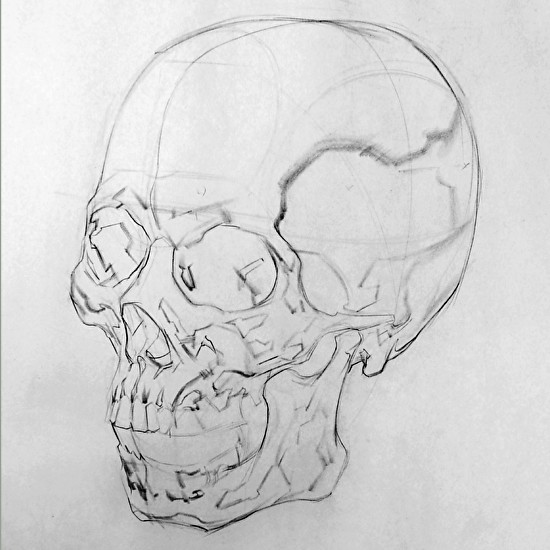 550x550 mildredwilson art - Basic Head Drawing