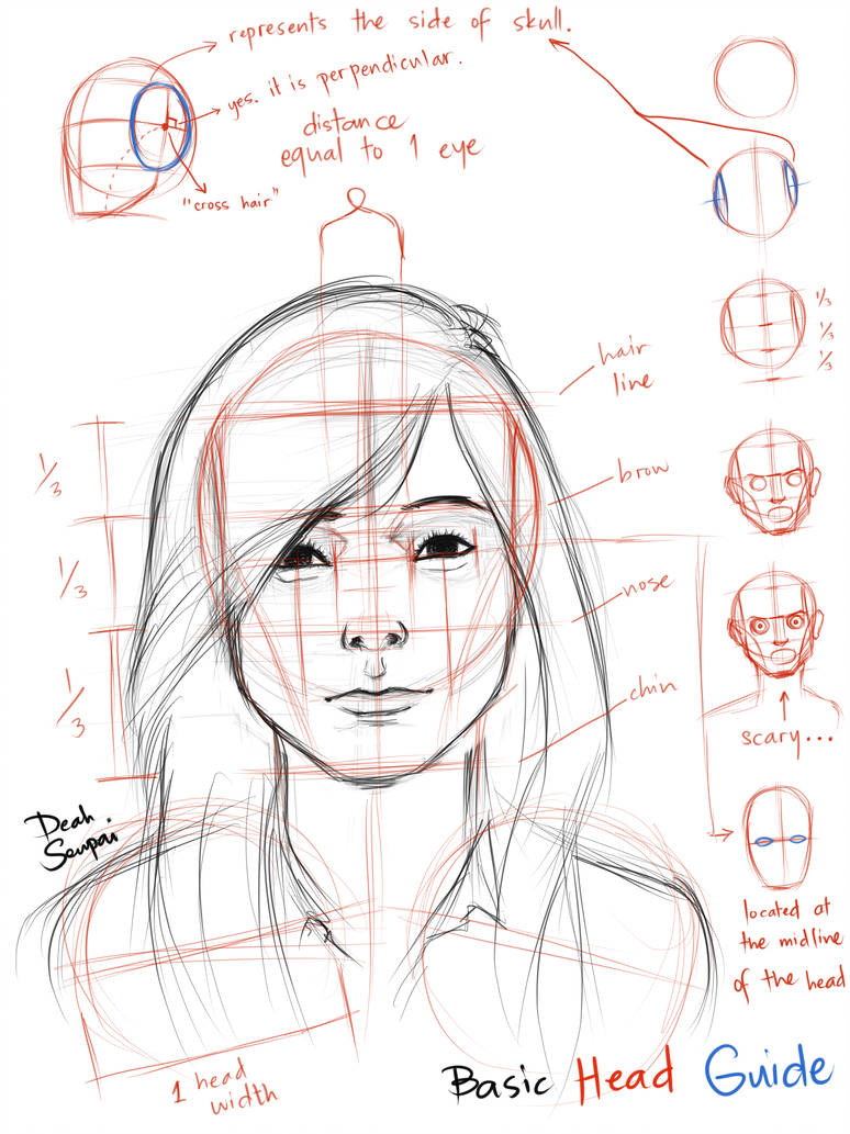774x1033 Basic Head Guide - Basic Head Drawing