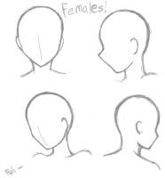 186x200 Anime Step - Basic Head Drawing