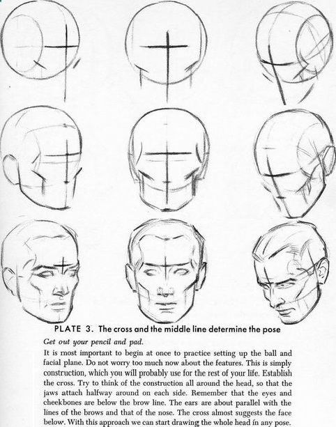 482x613 Basic Human Head Drawing - Basic Head Drawing
