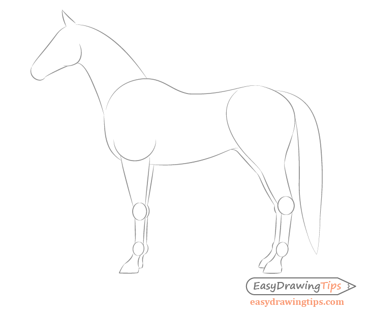 728x620 How To Draw A Horse From The Side View Tutorial - Basic Horse Drawing