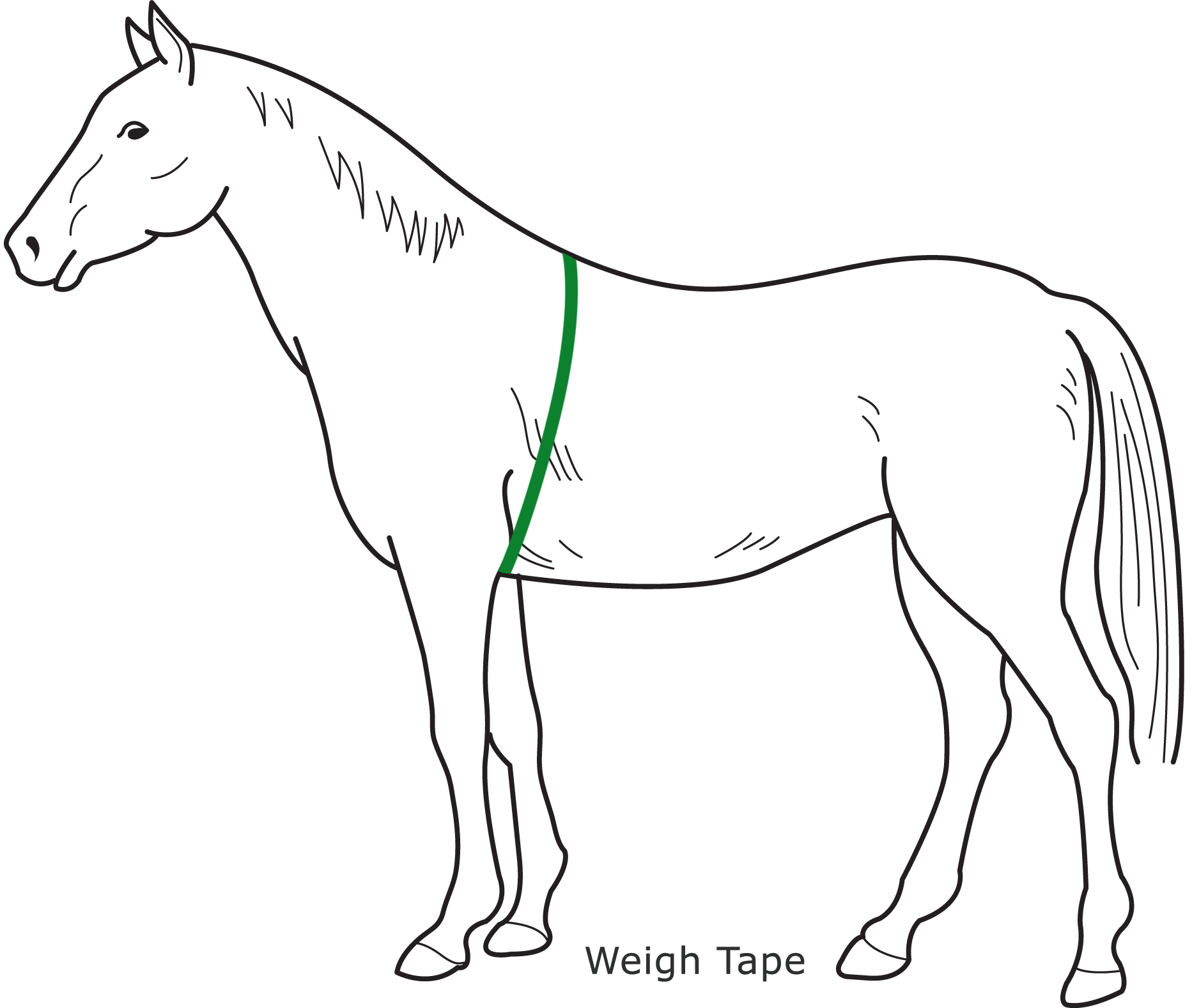 1865x1577 a basic guide to feeding your horse allen - Basic Horse Drawing