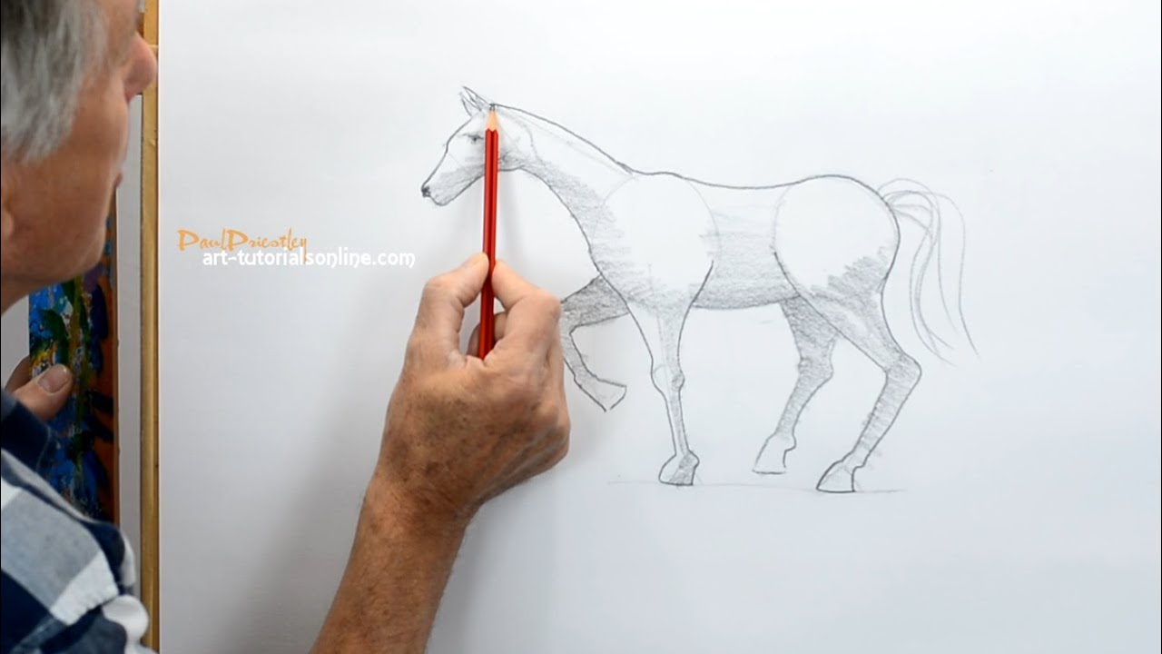 1280x720 How To Draw A Horse Simply - Basic Horse Drawing