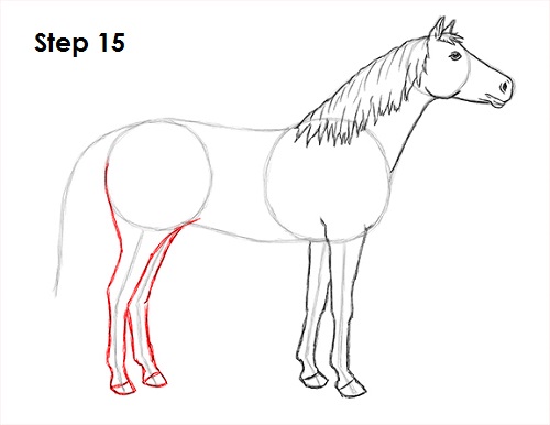 500x386 How To Draw A Horse - Basic Horse Drawing