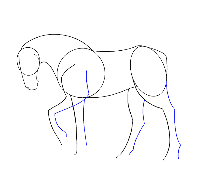 678x600 How To Draw A Simple Horse Easy Drawing Guides - Basic Horse Drawing