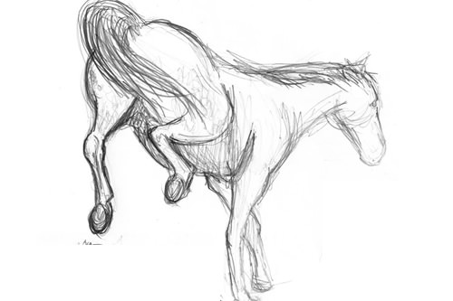 500x333 Basic Horse Body Language - Basic Horse Drawing