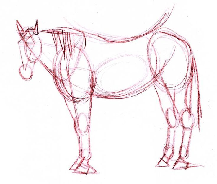 735x623 Drawing A Horse In Colored Pencil In Drawings I Like - Basic Horse Drawing