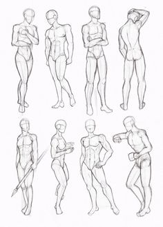 236x329 draw basic human figures art and photography drawings, human - Basic Human Drawing