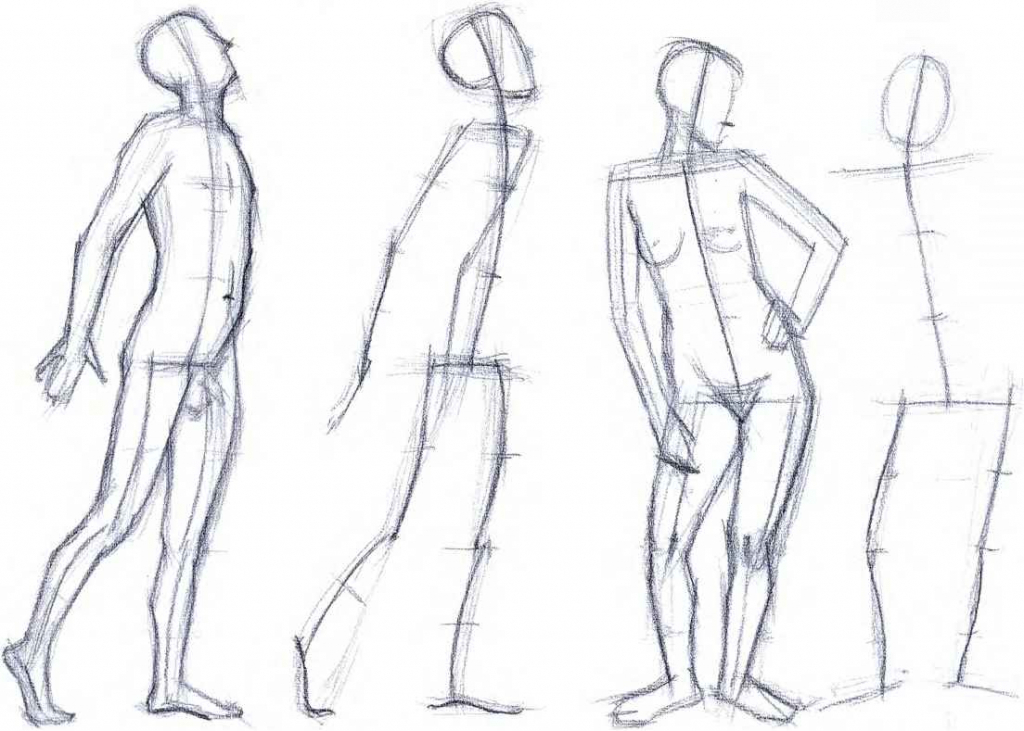 1024x731 Drawing Basics Human For Free Download - Basic Human Drawing