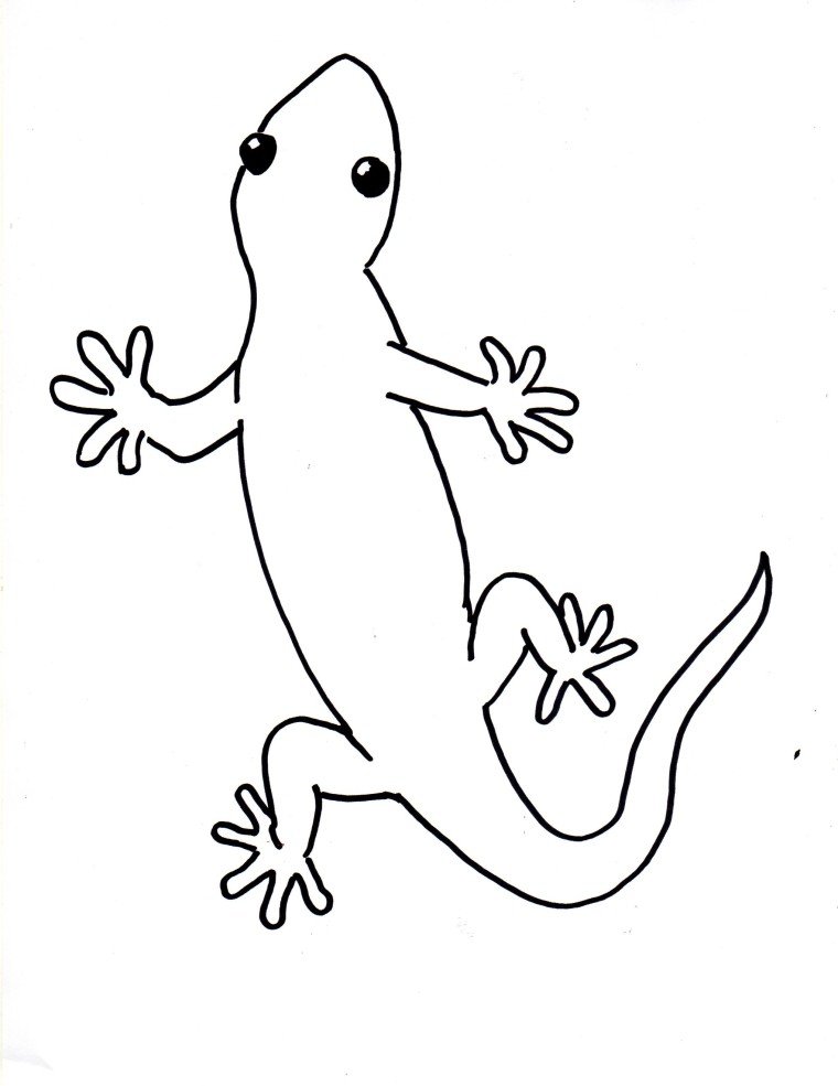 760x985 Draw A Gecko Step - Basic Line Drawing