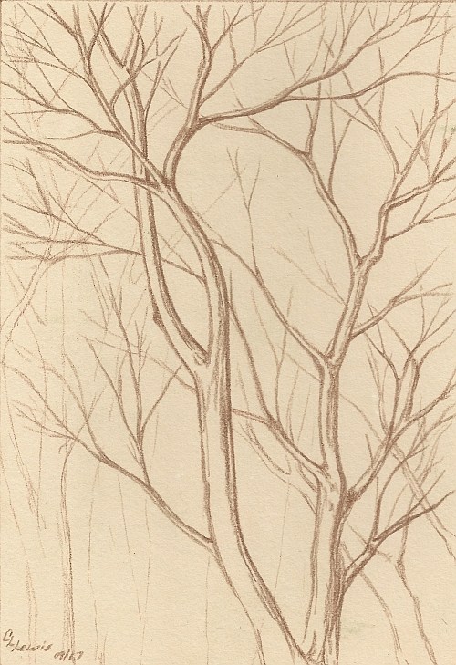 500x729 Line Drawing Basics - Basic Line Drawing