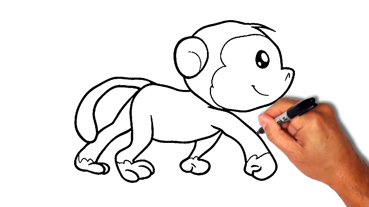 1280x720 How To Draw A Monkey - Basic Monkey Drawing
