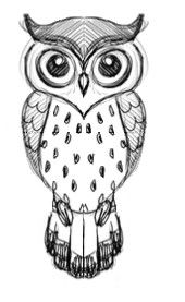 170x277 Owl Design - Basic Owl Drawing