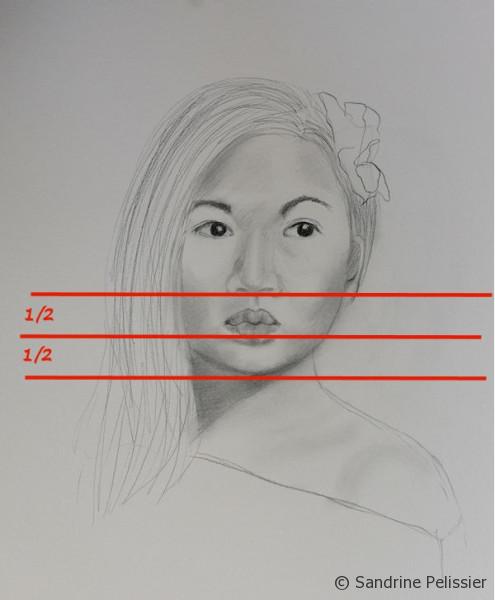 495x600 Portrait Drawing Basic Proportions Of The Face - Basic Portrait Drawing