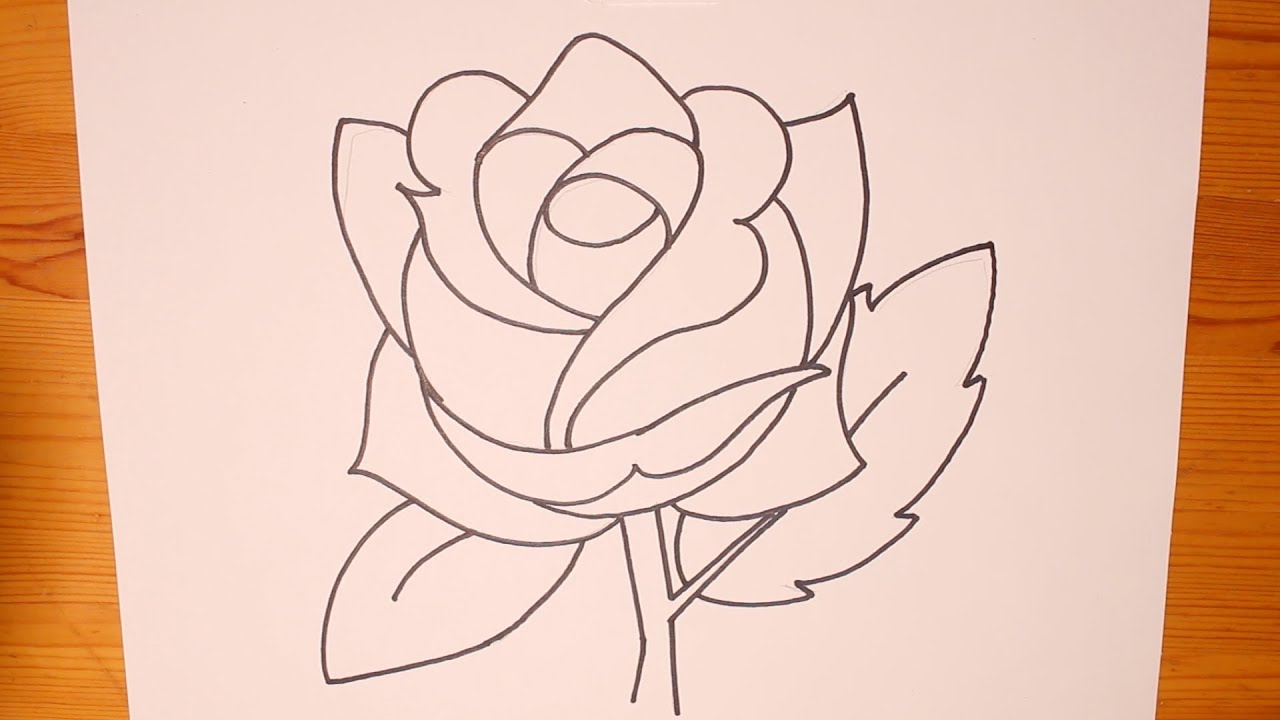 1280x720 How To Draw A Basic Rose - Basic Rose Drawing