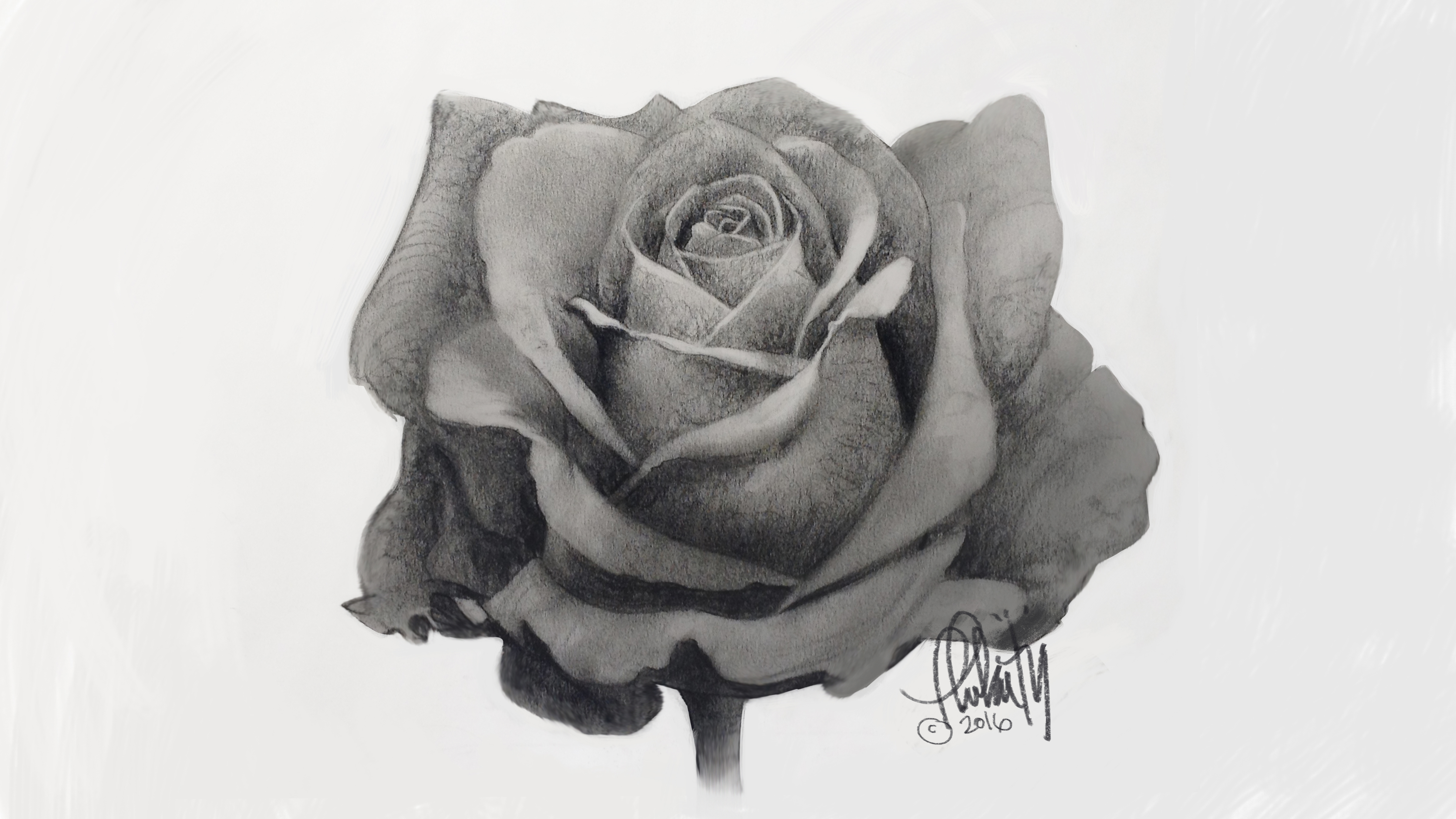 4800x2700 how to draw a rose beginner and advanced tips creative bloq - Basic Rose Drawing