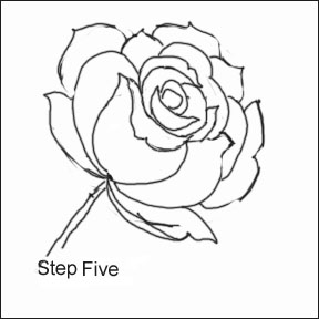 288x288 Rose Pencil Drawings Created For You Where You Can Learn To Draw - Basic Rose Drawing