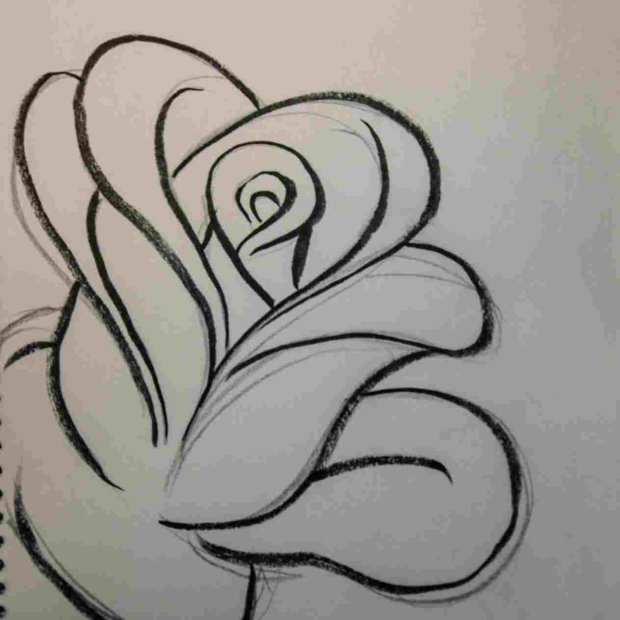 1264x1264 Drawing Fine Art - Basic Rose Drawing