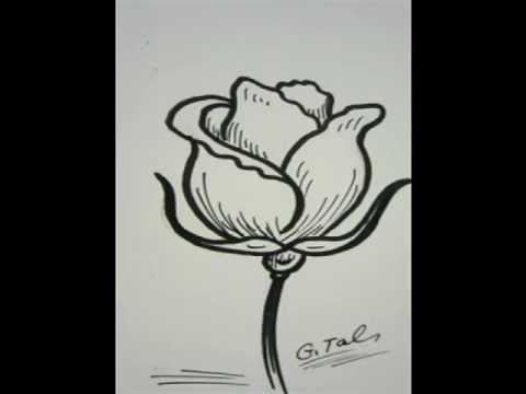 480x360 how to draw a rose made from basic forms - Basic Rose Drawing