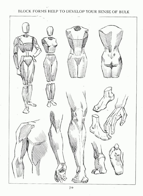 564x774 Drawing Part Project Exercise Basic Shapes Geijutsublog - Basic Shapes Drawing