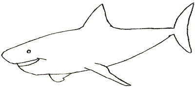 400x179 How To Draw A Shark - Basic Shark Drawing