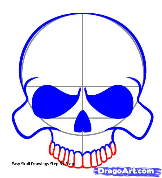 558x613 Easy Skull Drawings Step - Basic Skull Drawing
