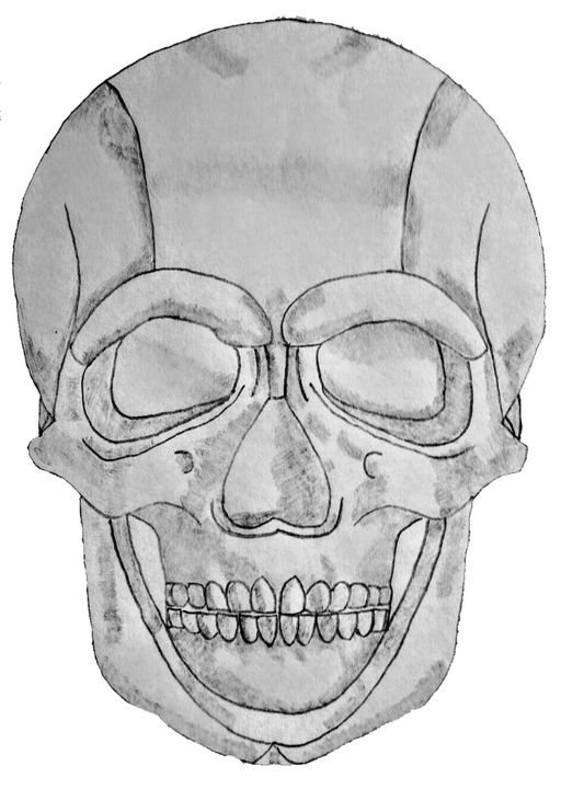 512x720 The Basic Skull - Basic Skull Drawing