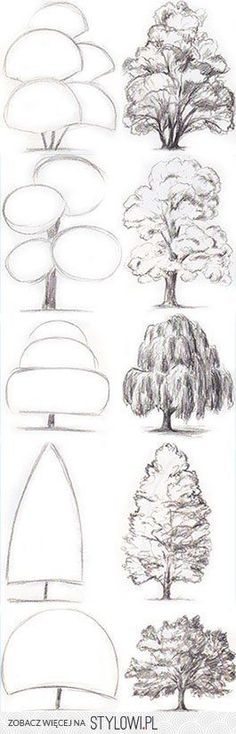 Basic Tree Sketch at PaintingValley.com | Explore collection of Basic ...