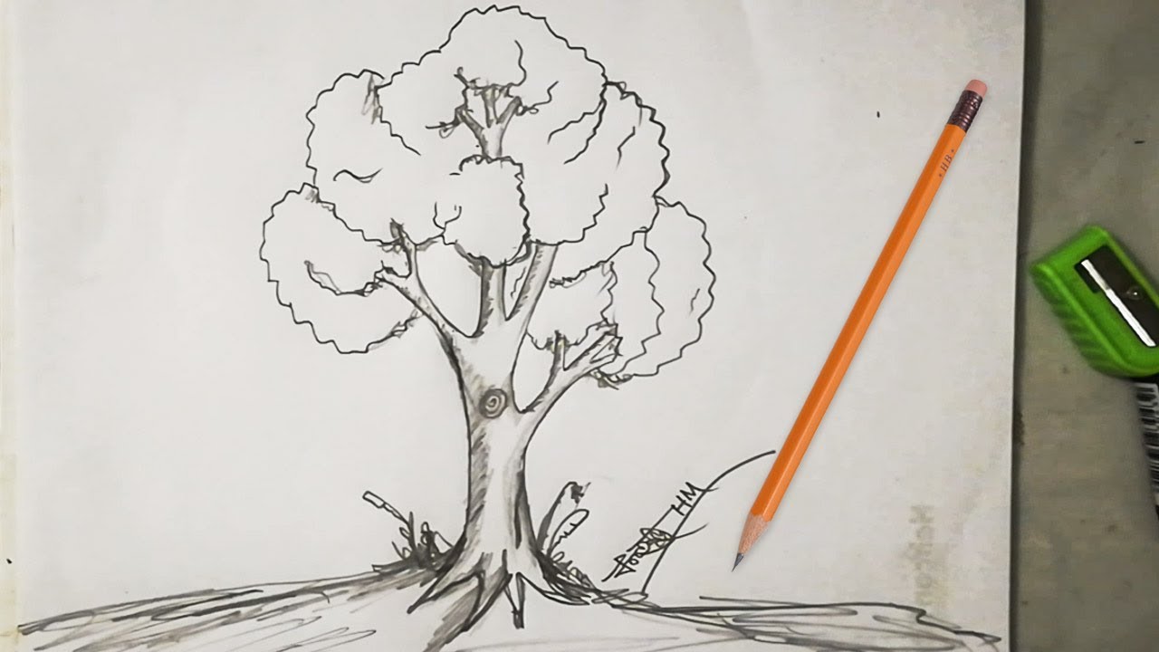 1280x720 How To Draw Easy And Simple Tree Sketch For Beginners With Pencil - Basic Tree Drawing